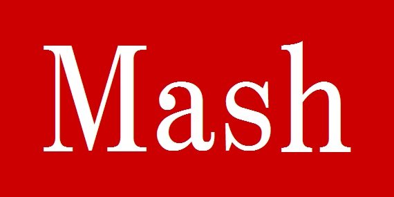株式会社 マッシュ